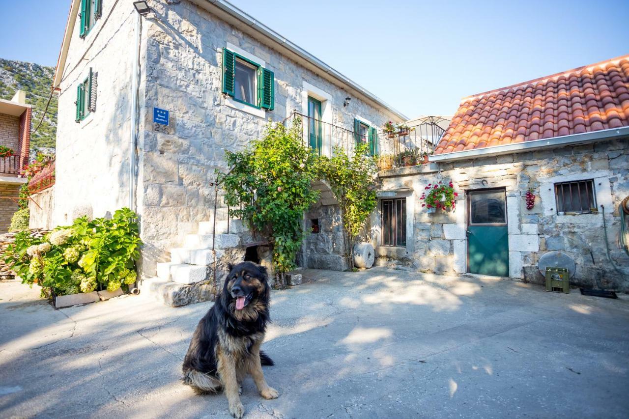 Apartmani Rebac Gata Luaran gambar